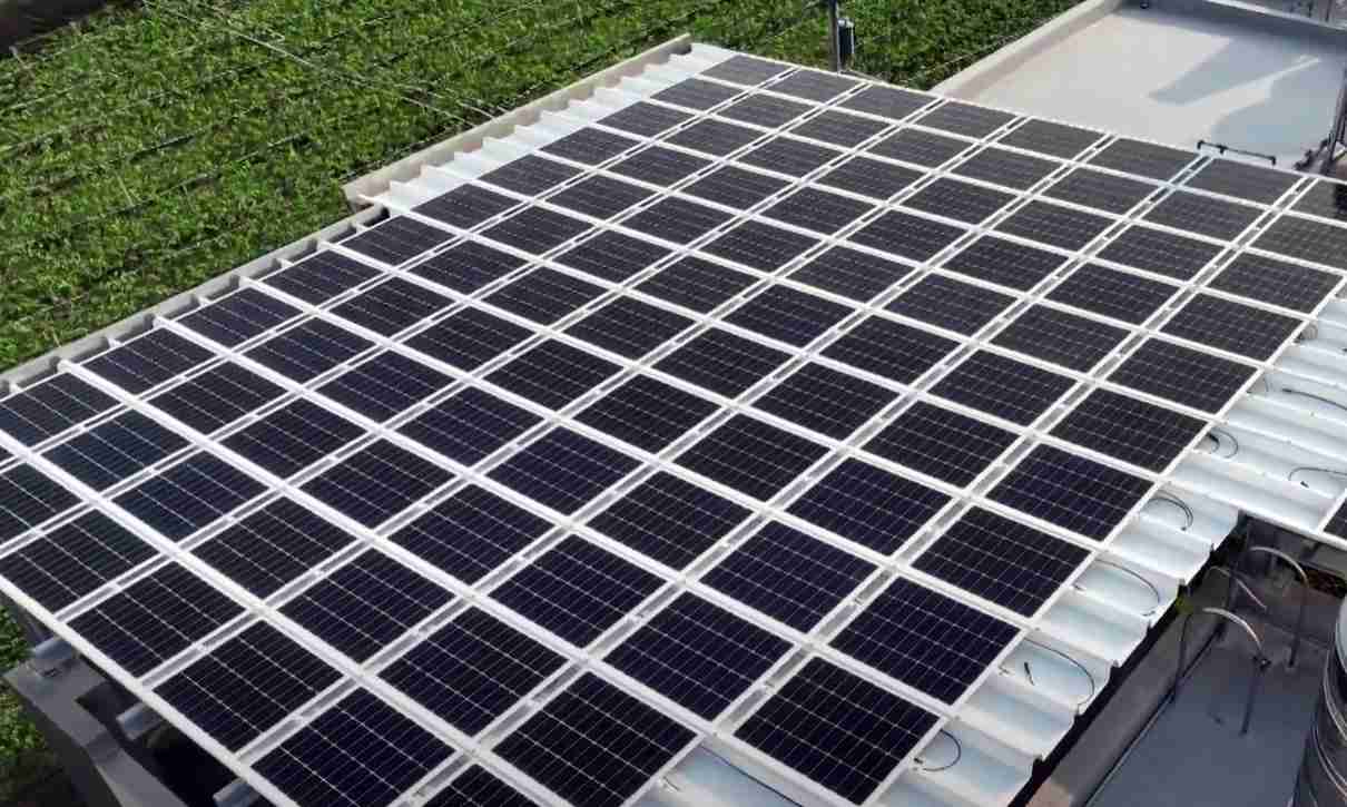 z6尊龙SunSteel光电浪板升级双玻结构，，，，以提升机械负载强度及气候耐候度，，可广泛运用于多元场域